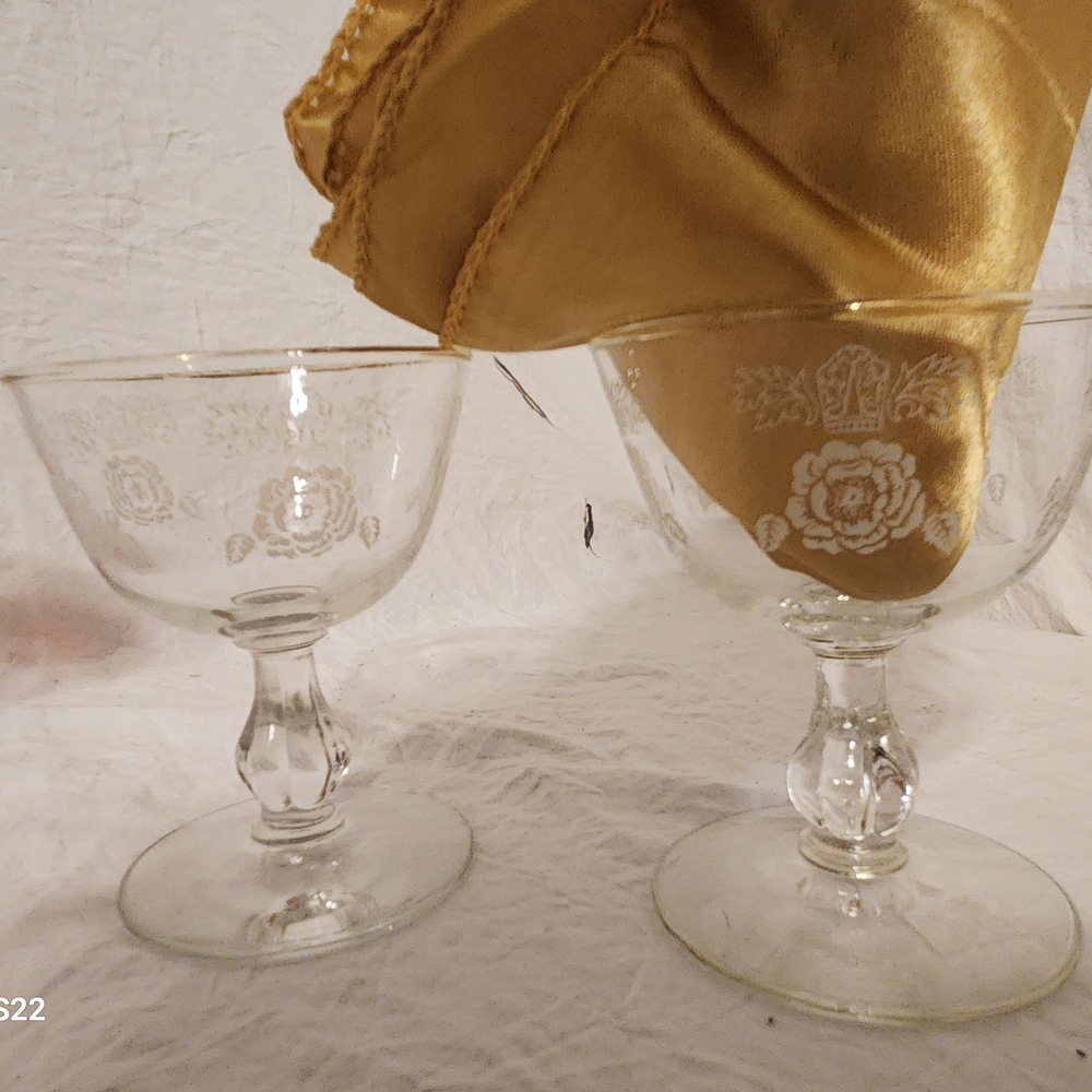 Elegant Glass Coups with Floral Design Set Of 2